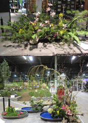 Ikebana Display