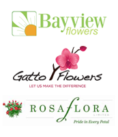 Bayview, Gatto, Rosa Flora logos