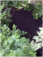 Soil picture