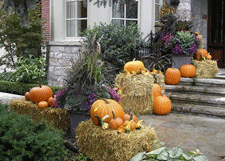 Pumpkin Front Entrance Display