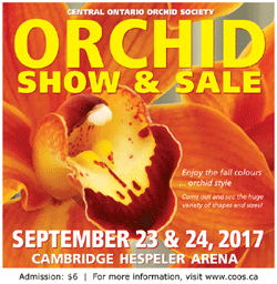 COOS 2017 Orchid Show & Sale Poster
