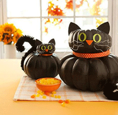 Cat Pumpkins