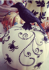 Spiders on pumpkin