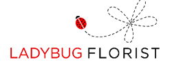 Ladybug Florist