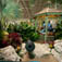 Premier Landscaping & Judith Wright