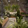 Oriole Landscaping