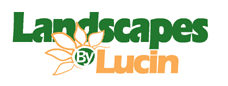 Landscapes by Lucin