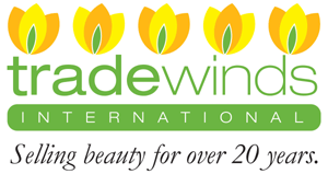 Tradewinds International