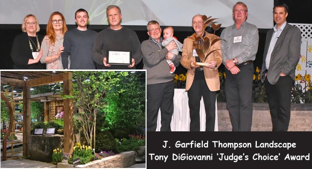 2019 Judge's Choice Garden Winner