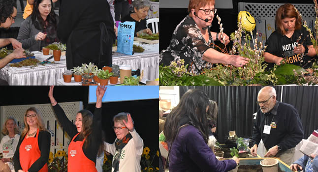 Workshops and Demos at Canada Blooms