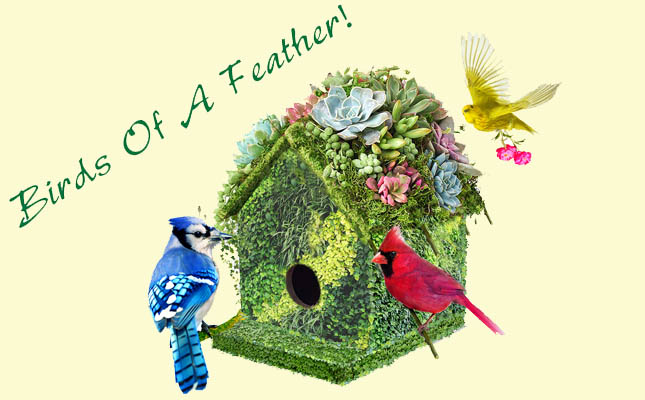 Canada Blooms 2020 Theme: Birds of A Feather