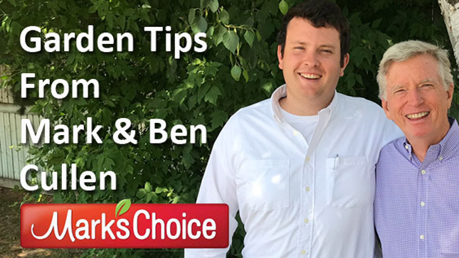 Mark and Ben Cullen, Tips From The Pros