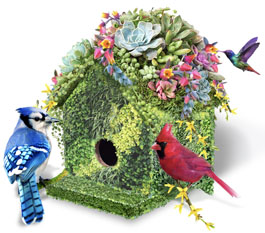 Canada Blooms Birdhouse Theme Image