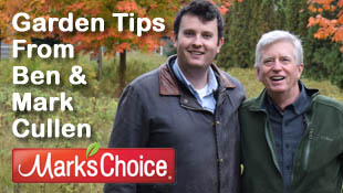 Garden Tips From Mark & Ben Cullen