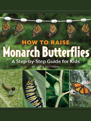 How To Raise Monarch Butterflies by Carol Pasternak