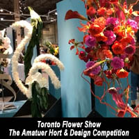 Toronto Flower Show at Canada Blooms
