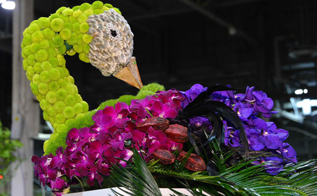 Floral Peacock at Canada Blooms 2020