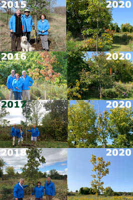 Tree Day Through The Years