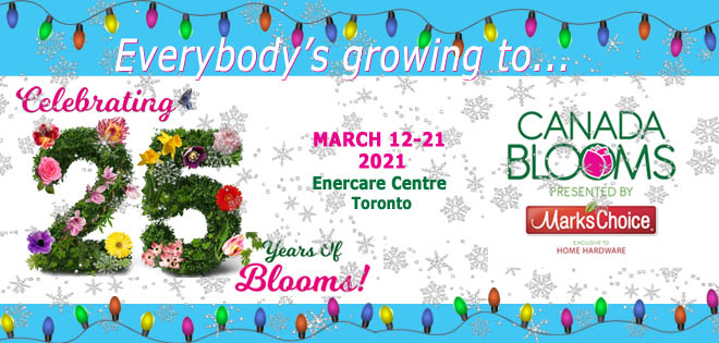 Canada Blooms Newsletter Header Xmas 2020