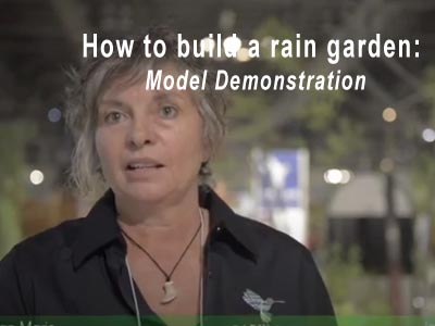 Rain Garden Video 5