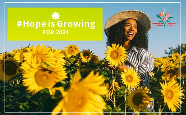 Hope is Growing Campaign CiB