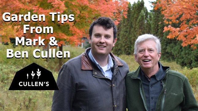 Mark & Ben Cullen Garden Tips