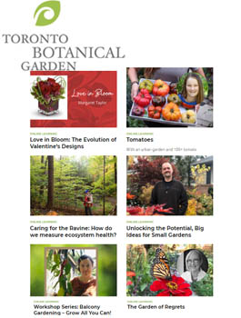 Toronto Botanical Garden Online Courses