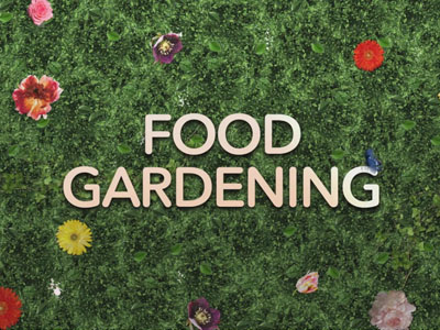 Food Garden Video