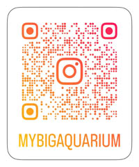 My Big Aquarium QR code for Instagram