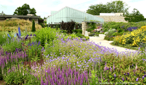 Toronto Botanical Garden