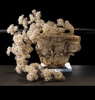 Paola Zattera's Design