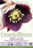 Canada Blooms 2013