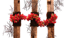 Fresh Floral Creations