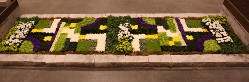 Floral Carpet 2012