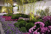 Taipei Garden - Pic by National Home Show