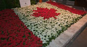 2012 Landscape Ontario Garden