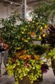 2012 Planter - Pic by Tweaked Solutions