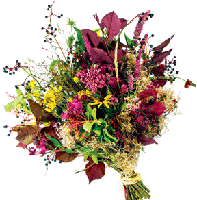 WildFlower Bouquet, photo by Bexograph, Bouquet by Floral Fetish and eco|stems