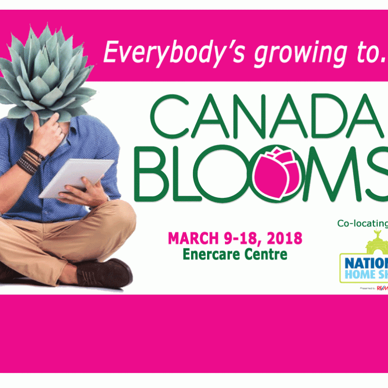 Main Page Banner Succulent