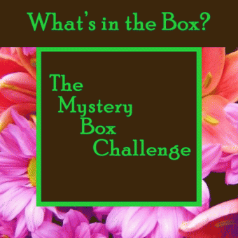 Mystery Box Challenge
