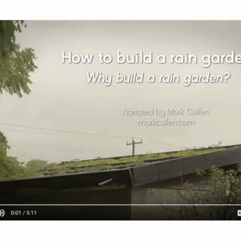 Rain Garden Video Library