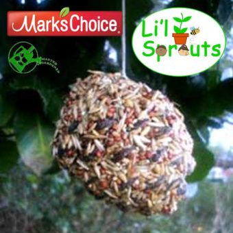 Li'l Sprouts Workshop: Bird Feeders