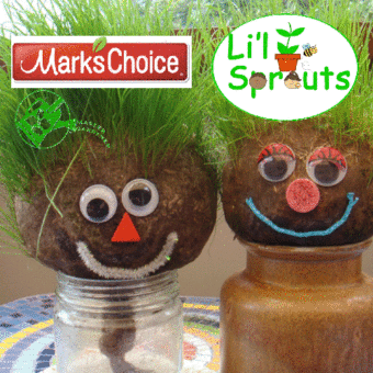 Li'l Sprout Workshop - Grass Birds