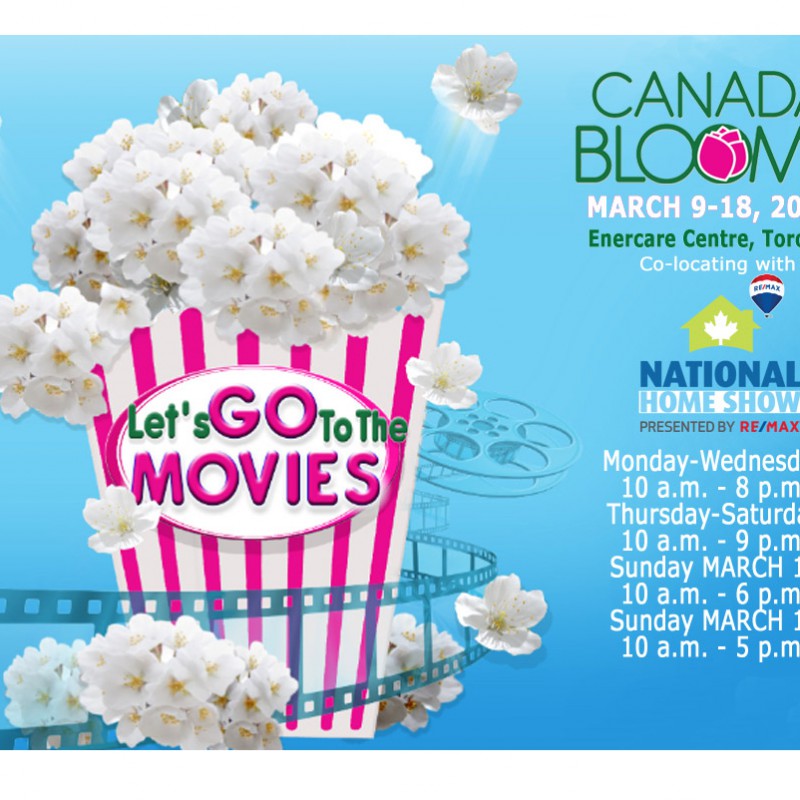 Main Page Banner Nov