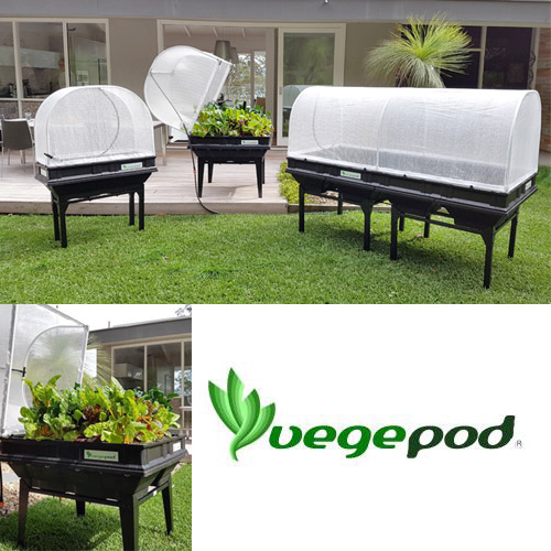 Vegepod Makes Growing Simple Canada, Raised Vegetable Garden Kit Canada