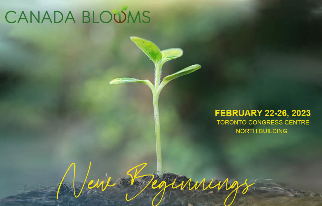 Canada Blooms Canada's Largest Flower, Garden and Green Festival